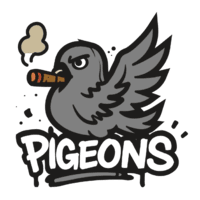 Pigeon