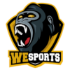 WeSports