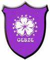 Gebzespor