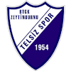 Telsizspor