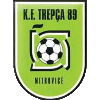 Trepca