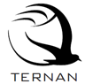 Ternan